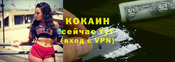 индика Абдулино