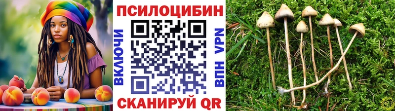Псилоцибиновые грибы Psilocybine cubensis  как найти   Череповец 